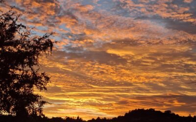 Pleasant and cooler weather rolls in