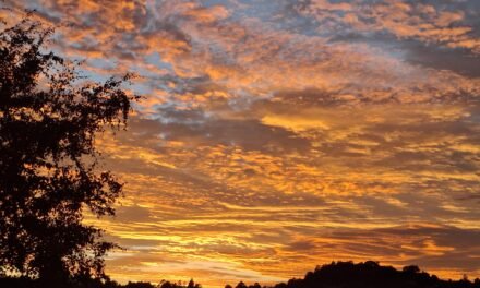 Pleasant and cooler weather rolls in
