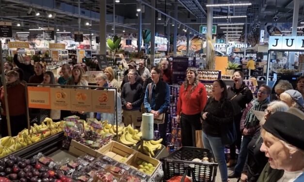 Writer’s Corner: Flashmob in Coles!