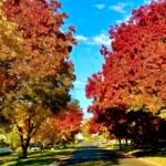 Picture of the week: Autumn has arrived