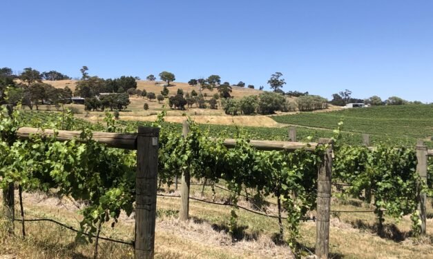 Shiraz around the country