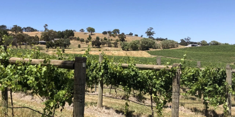 Shiraz around the country