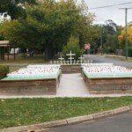 Crewwick Field of 1256 Crosses.