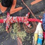 One of the creatures made at Bu-Ka Lo-Wurru.