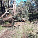Many fire tracks through wooded areas have been blocked but are a low priority for crews and will likely remain bocked for some time. (Photo: Tim Bach)
