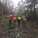 Evolution tree crew clears the Daylesford-Trentham road. (Photo: Jason Burrows)