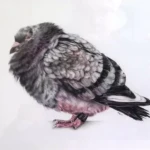 Youth Prize ($750): Gem Williamson, Douglas