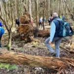 ...and through areas damaged by the 2021 storms.