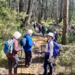Member Margaret Hodge led walkers past the mud...