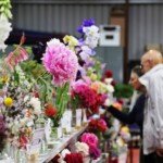 Flowers, Flowers, Flowers. (Photo: Lisa Gervasoni)