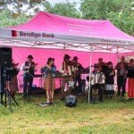 Music Newport Bush Orchestra. (Photo: Lisa Gervasoni)