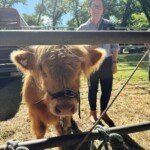 (Photo: Richard Tommy Campion via Facebook)