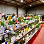 (Photo: Tommy Campion)