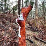 Djaara artwork & cultural interpretative signage enriches visitor experience - Greater Glider sculpture. (Photo supplied)