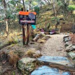 Visitors can enjoy upgraded Djaara-designed facilities at Argyle Spring. (Photo supplied)