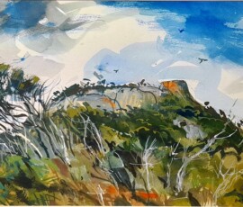 Community Bank Daylesford District Landscape Prize: Flinders Island by Helga Hart.