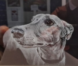 Daylesford Meat Animalia Prize: Greyhound by Sonya Duffy