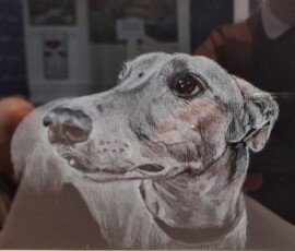 Daylesford Meat Animalia Prize: Greyhound by Sonya Duffy