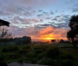 Image by Madi Morey, Sunrise in Tooborac